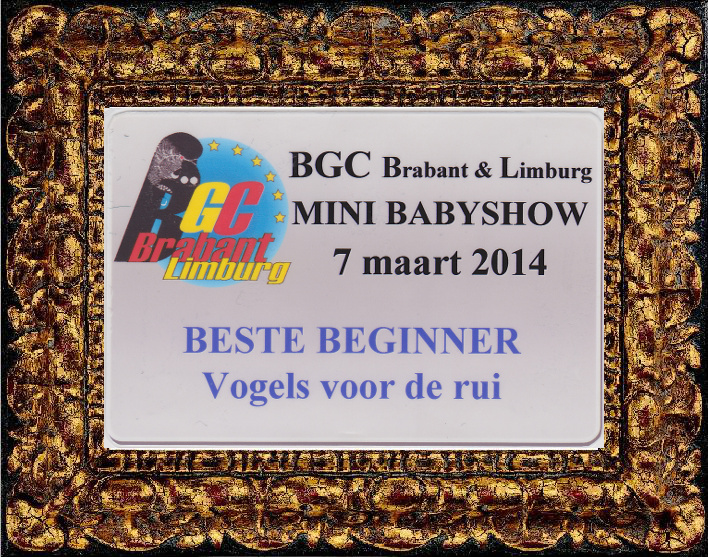 BGC Brabant & Limburg Mini Baby show 7 maart 2014 Beste grasparkiet VOOR de RUI Beginners klasse - Bert Raeymaekers