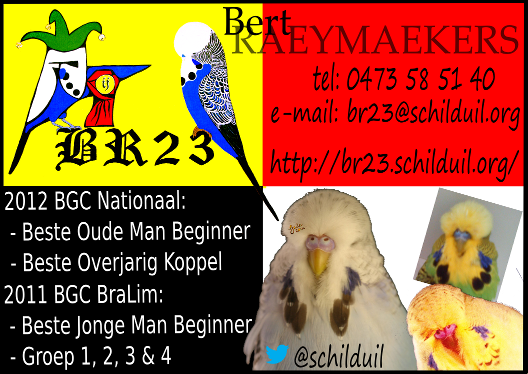Bert RAEYMAEKERS - BR23