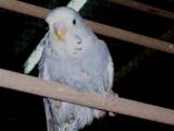 13 JAN 2008 - 2008 BR23 012