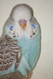 04 MAR 2009 - (LG66)8
