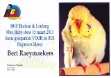 18 MAR 2011 - (AC122)286: Best Beginner In Show - BGC Brabant & Limburg Mini babyshow before the moult