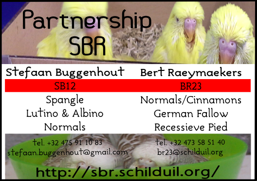 partnership SBR - Stefaan Buggenhout & Bert Raeymaekers